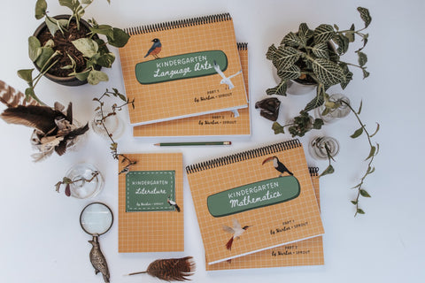 Kindergarten Math, Language Arts, + Literature