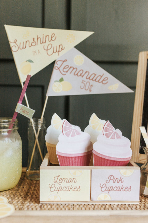 Lemonade Stand Dramatic Play Set