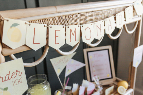 Lemonade Stand Dramatic Play Set