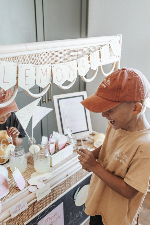 Lemonade Stand Dramatic Play Set