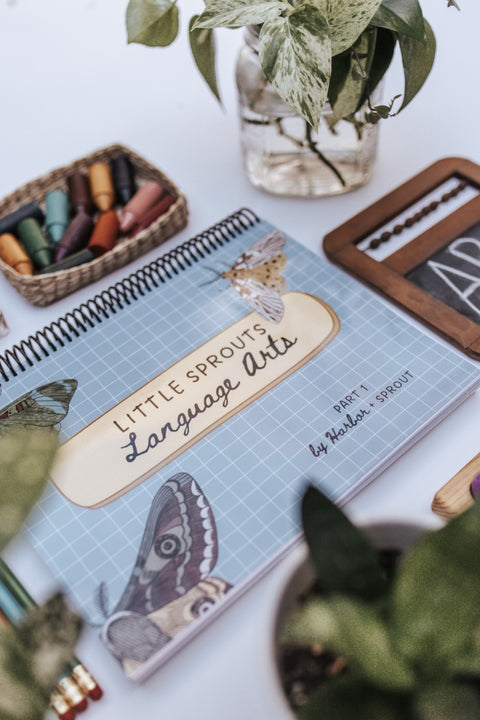 Little Sprouts PreK Curriculum