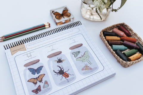PRINT Little Sprouts PreK Mathematics