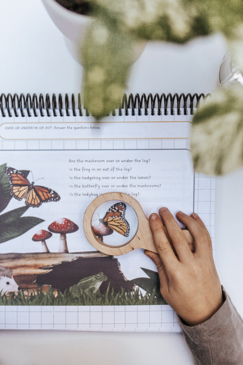DIGITAL Little Sprouts PreK Mathematics