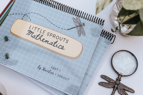PRINT Little Sprouts PreK Mathematics
