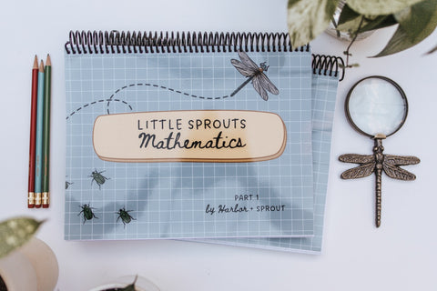 PRINT Little Sprouts PreK Mathematics
