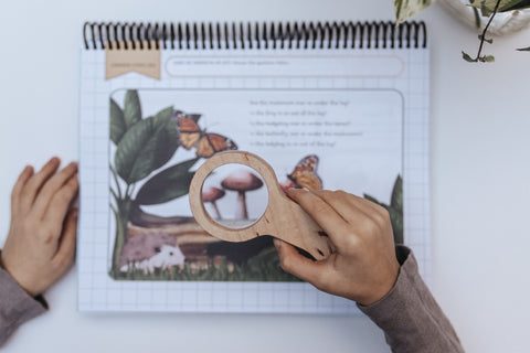 PRINT Little Sprouts PreK Mathematics