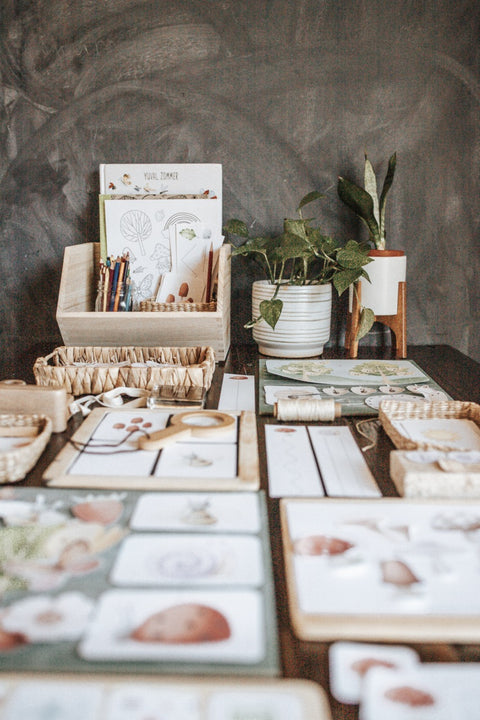 Nature Science Morning Basket