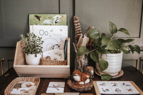 Ornithology Morning Basket