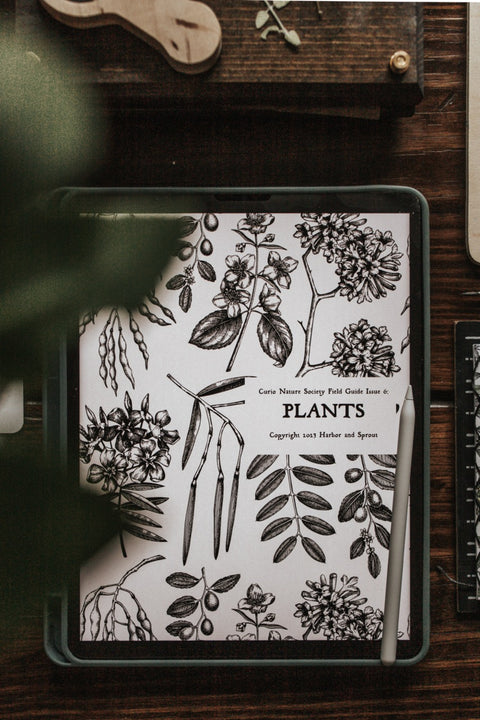 Curio Nature Society Field Guide Issue 6- PLANTS