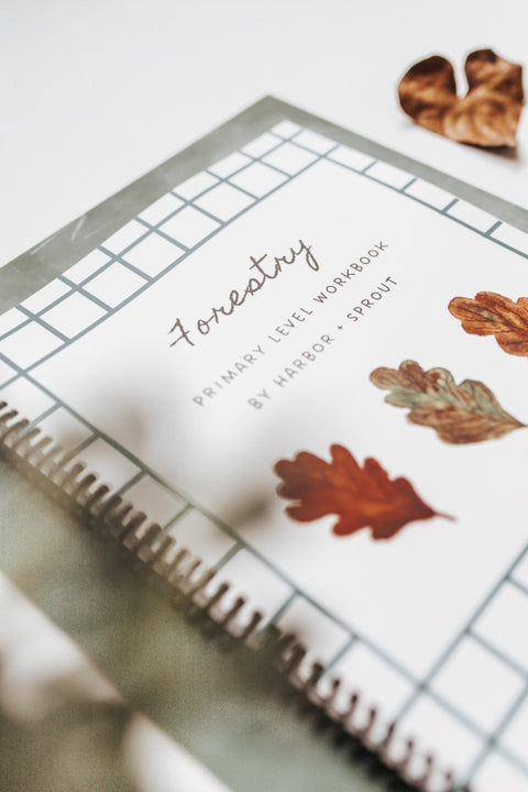 PRINT Forestry Primary Level Workbook