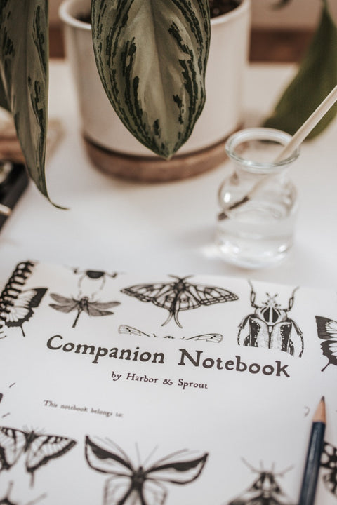 PRINT Secondary Companion Notebook