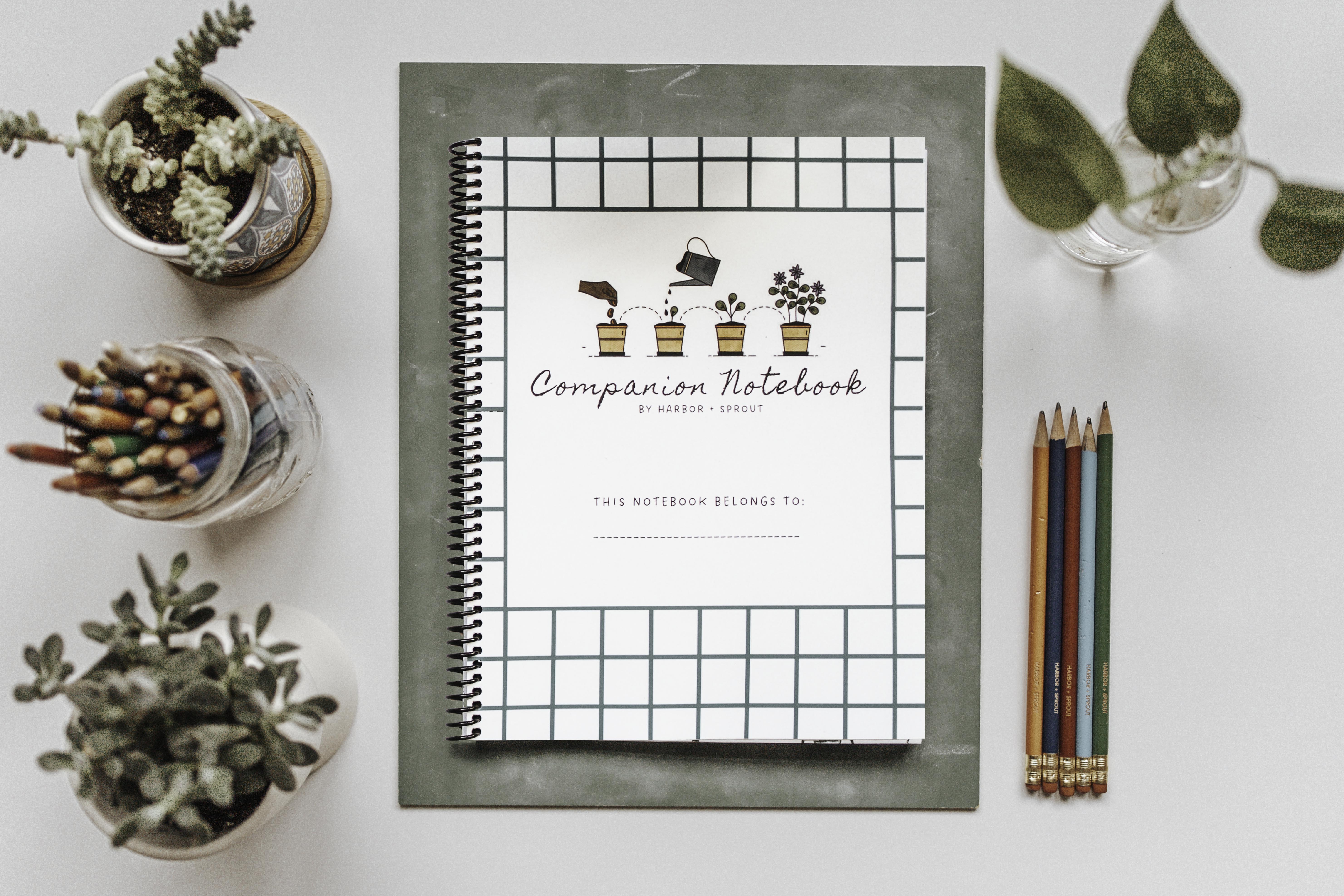 PRINT Primary Companion Notebook – Harbor and Sprout