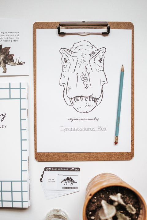 PRINT Paleontology Primary Level Workbook