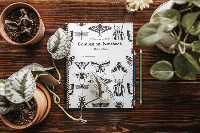 DIGITAL Secondary Companion Notebook – Harbor and Sprout
