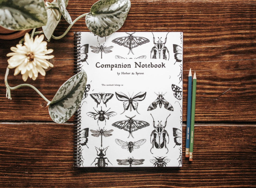 DIGITAL Secondary Companion Notebook – Harbor and Sprout