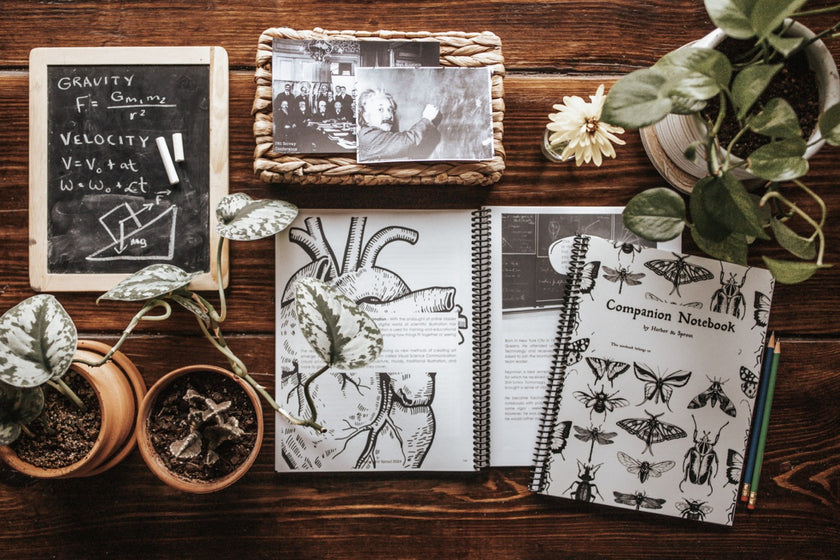 PRINT Secondary Companion Notebook – Harbor and Sprout