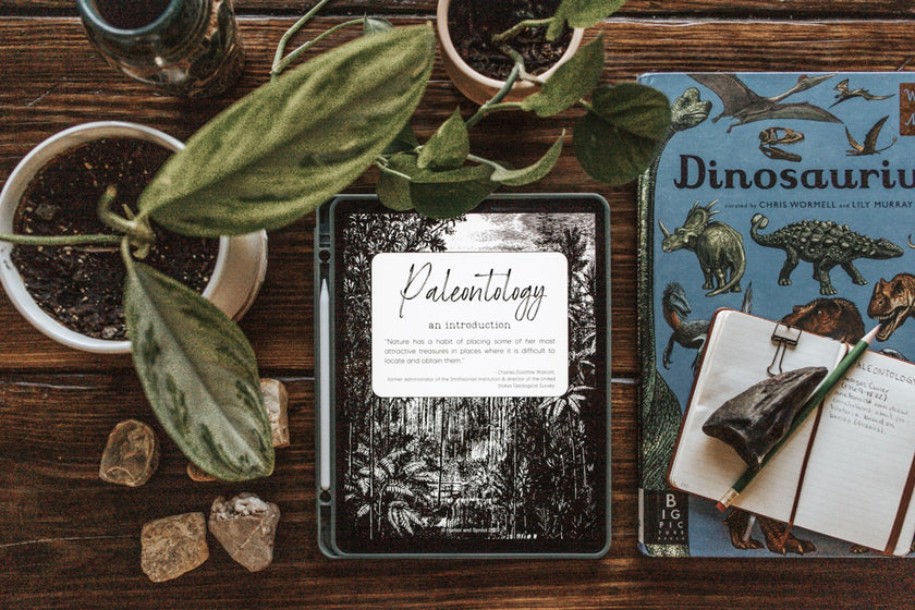 Digital Secondary Level Unit Studies Harbor and Sprout