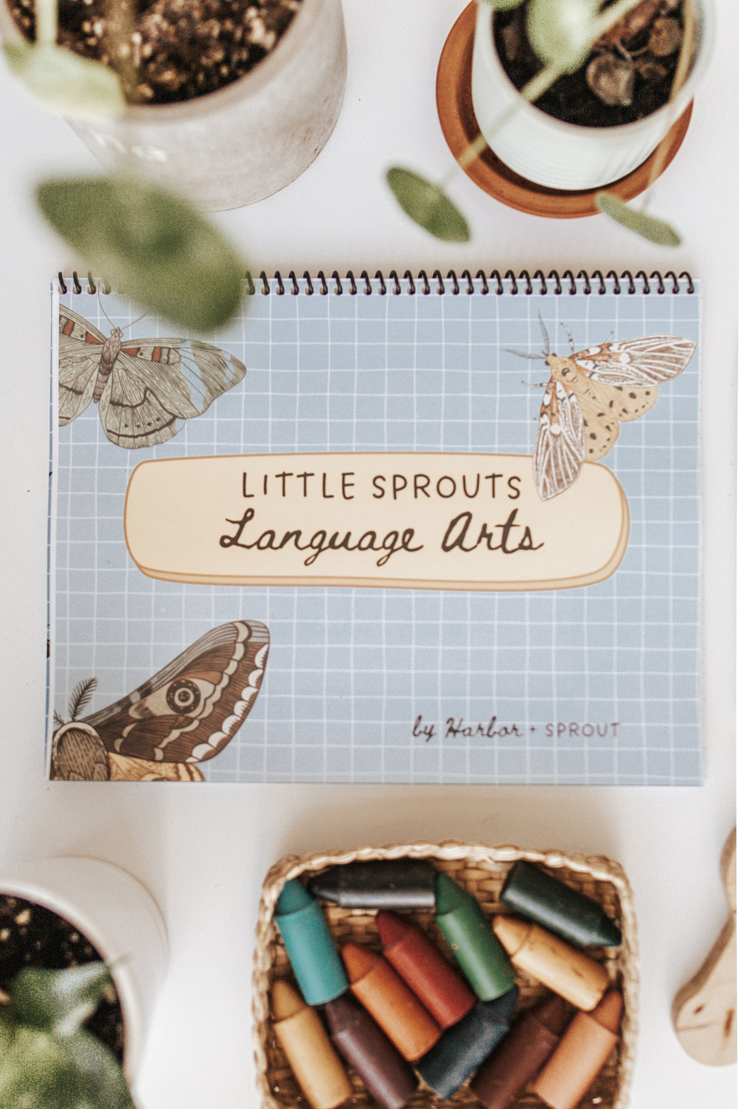 Language Arts Curriculum Samples – Harbor and Sprout