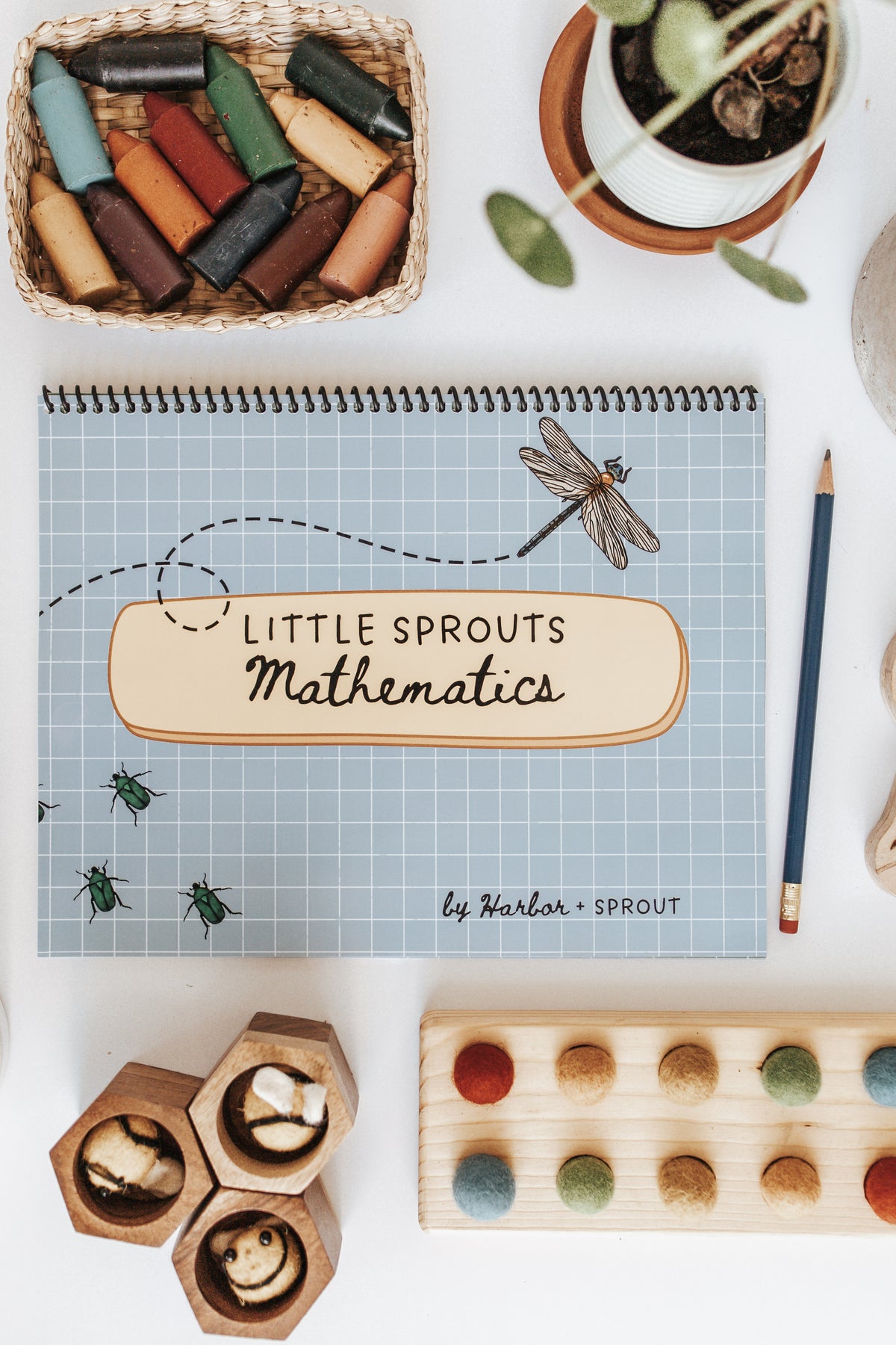 Deep Sprouted Math Mathematics Curriculum Samples – Harbor and Sprout