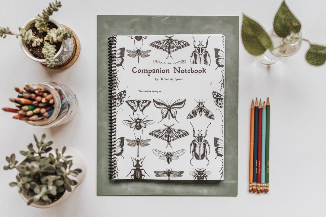 DIGITAL Secondary Companion Notebook – Harbor and Sprout