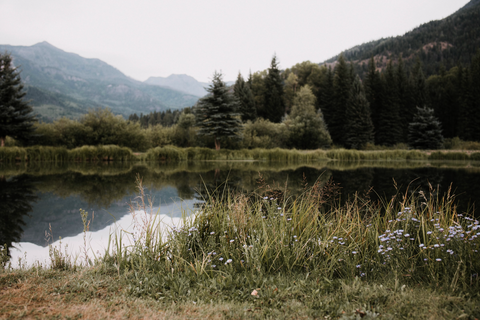 DIGITAL Freshwater Ecology Secondary Level Unit Study