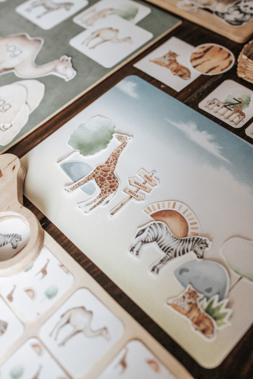 Zoology Morning Basket Harbor and Sprout