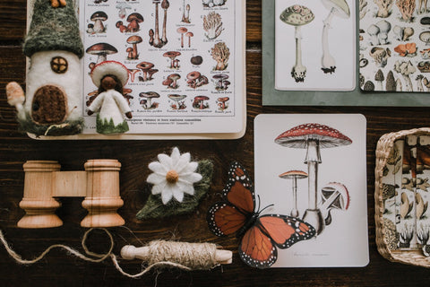 Vintage Fungi Illustrations and Matching Game