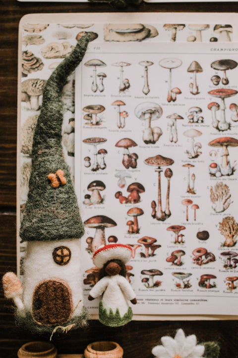 Vintage Fungi Illustrations and Matching Game