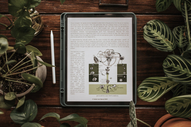 DIGITAL Botany Secondary Level Unit Study – Harbor and Sprout