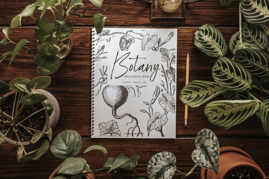 FREE SAMPLE Botany Secondary Unit Study Harbor and Sprout