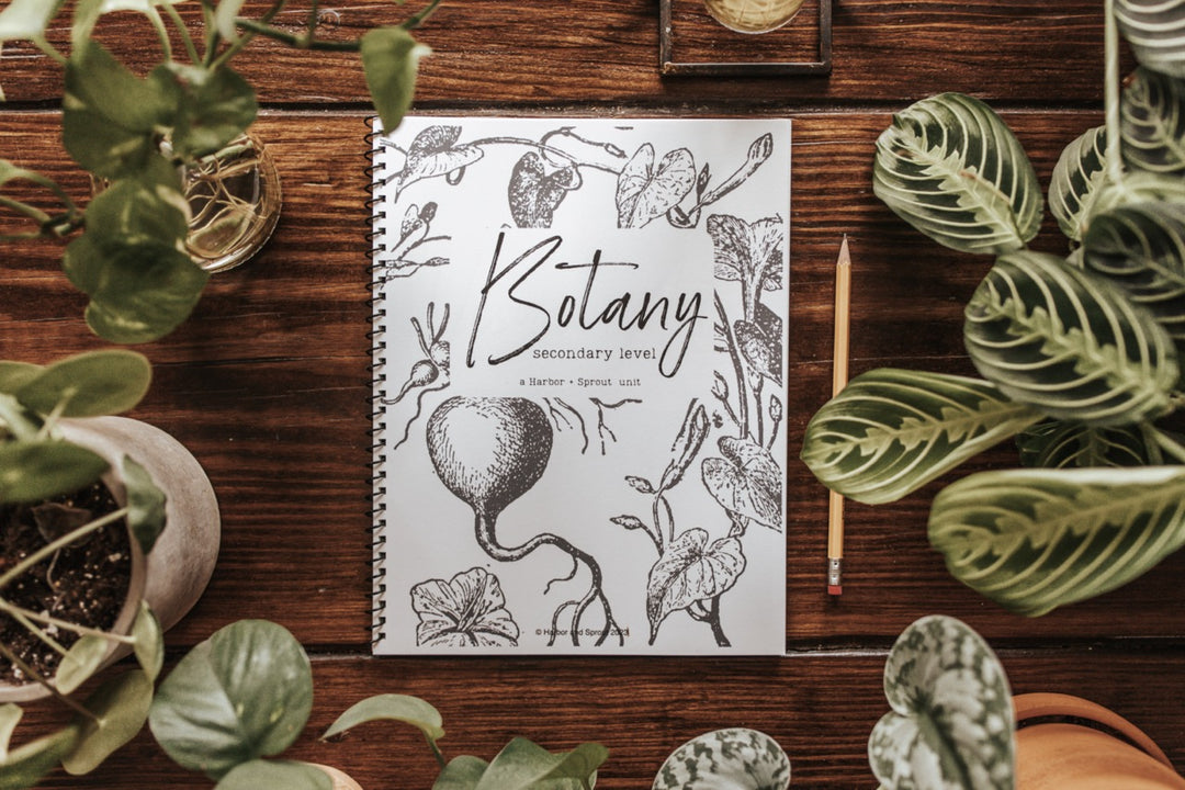 DIGITAL Botany Secondary Level Unit Study – Harbor and Sprout
