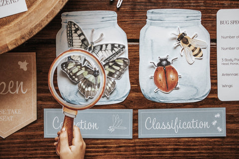 Entomology Lab Dramatic Play Set