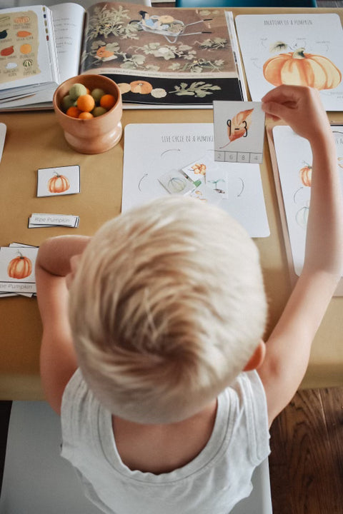 Fall Fun Packet – Harbor and Sprout