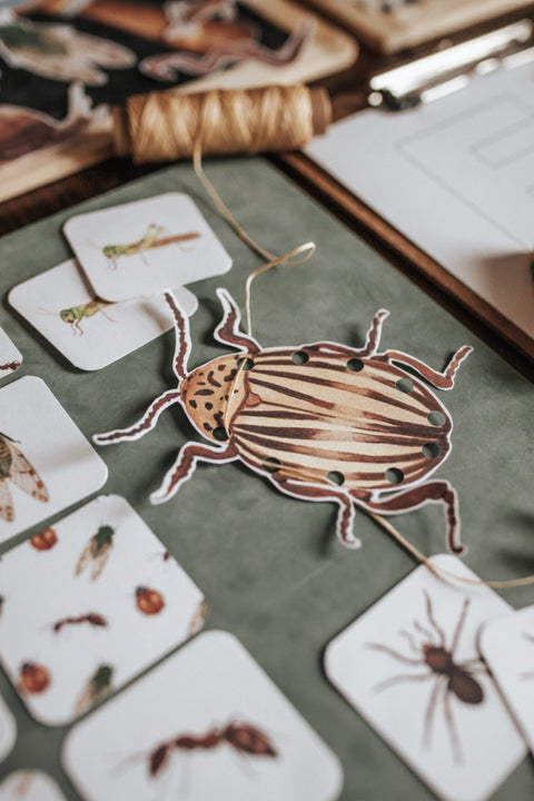 Entomology Morning Basket