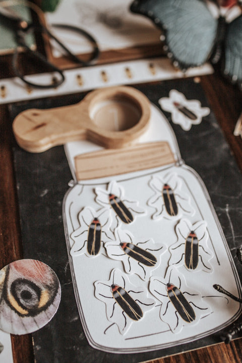 Entomology Morning Basket