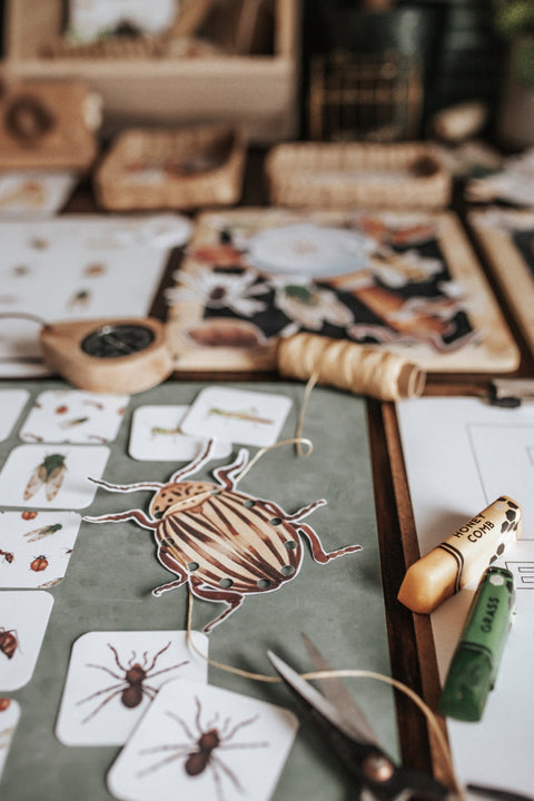 Entomology Morning Basket