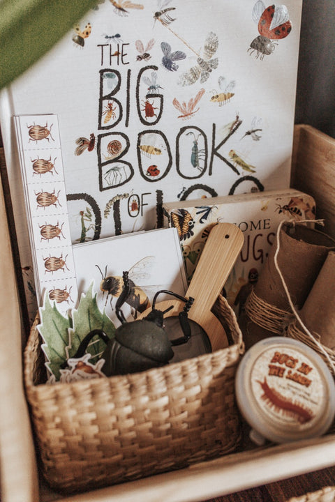 Entomology Morning Basket