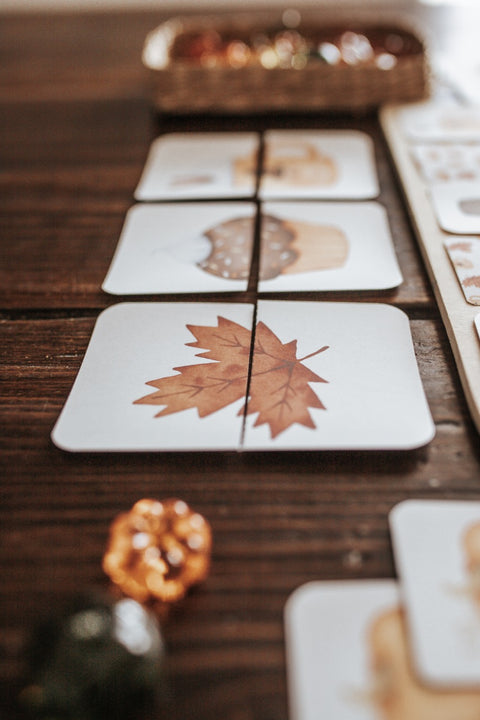 Thanksgiving Puzzles FREEBIE