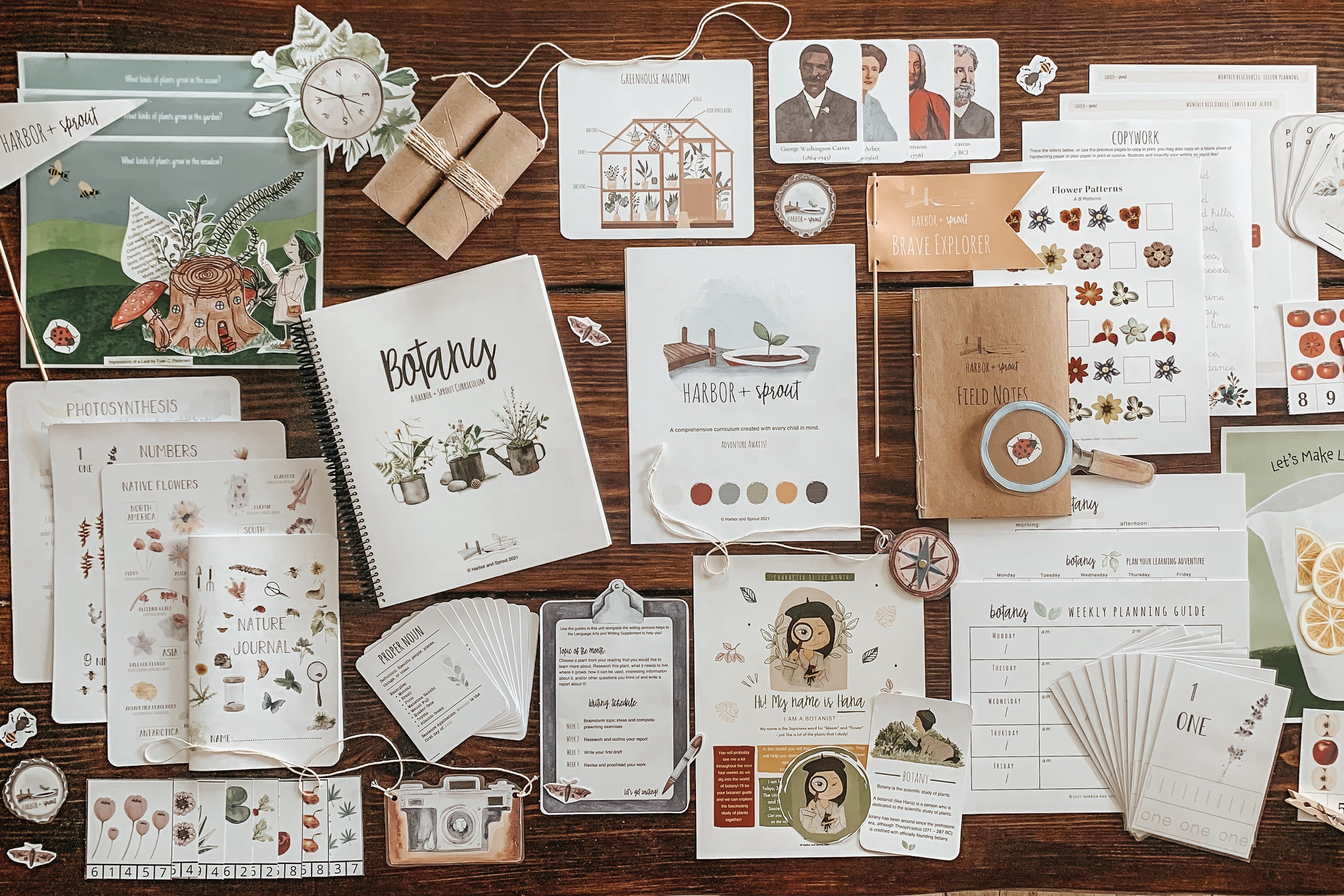 Harbor + Sprout A Botany Unit Harbor and Sprout