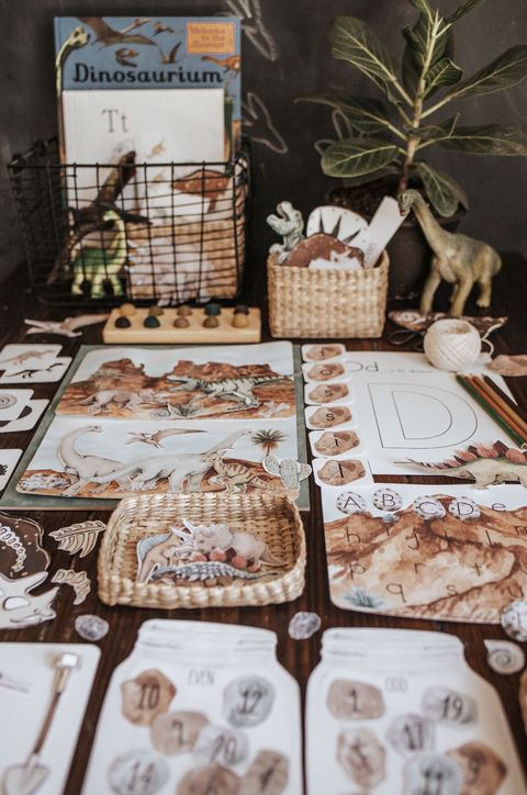 Paleontology Morning Basket