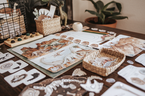 Paleontology Morning Basket