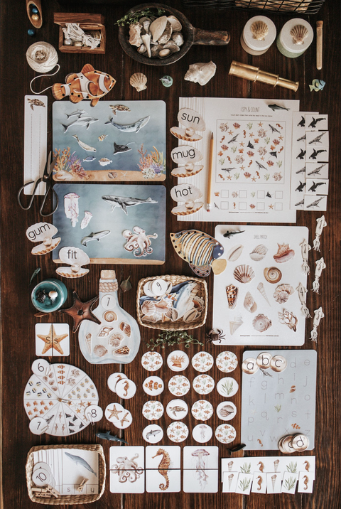 Oceanography Morning Basket