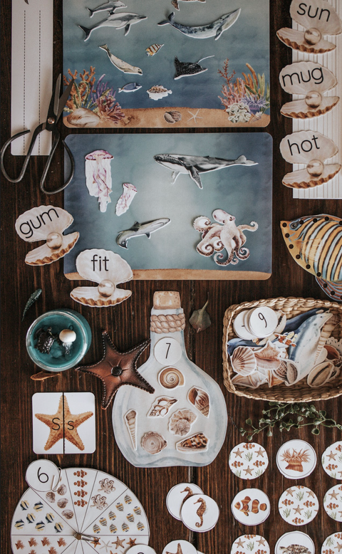 Oceanography Morning Basket