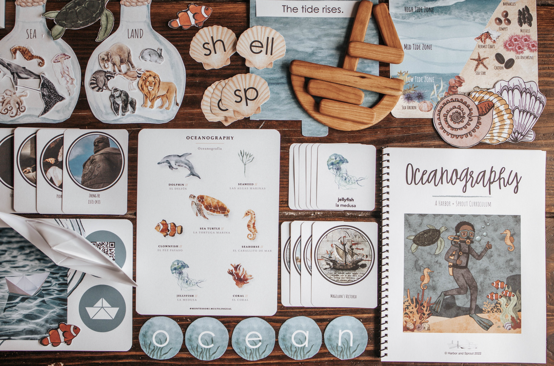 Oceanography Patchwork Study – Harbor and Sprout