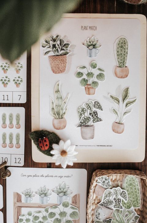 Botany Morning Basket