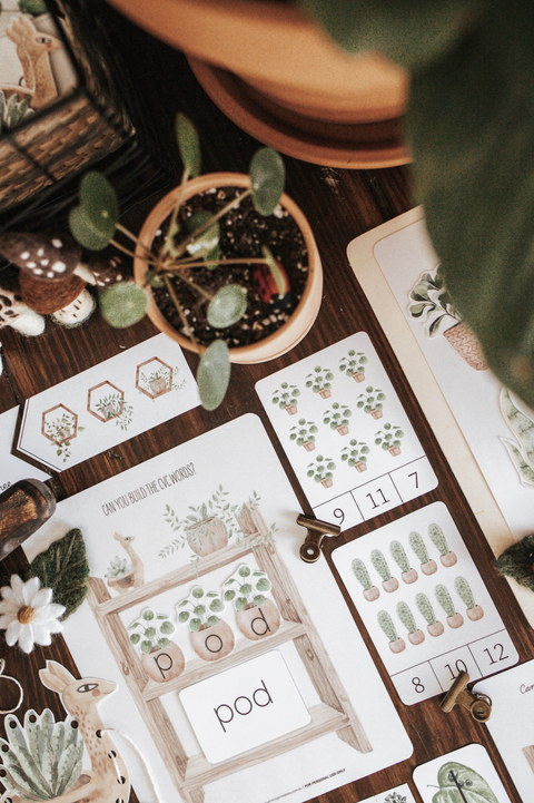 Botany Morning Basket