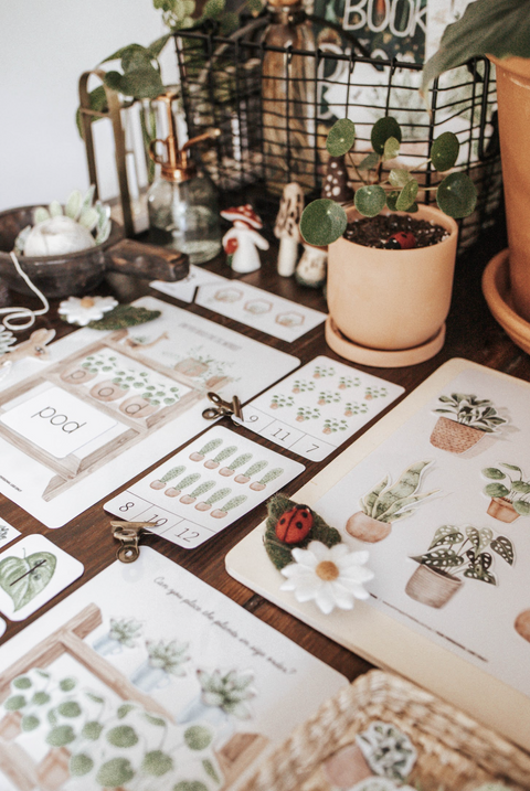 Botany Morning Basket