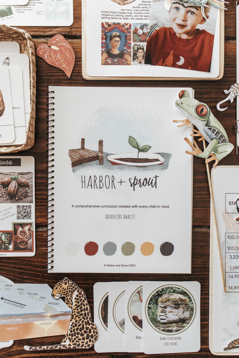 Harbor + Sprout: A Tropical Ecology Unit