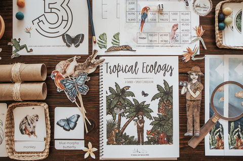 Tropical Ecology Patchwork Study