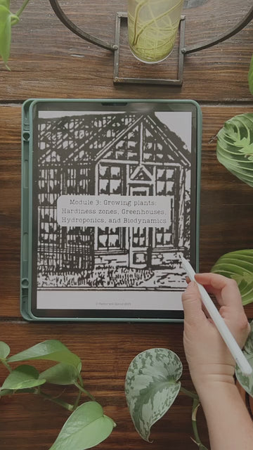 DIGITAL Botany Secondary Level Unit Study – Harbor and Sprout